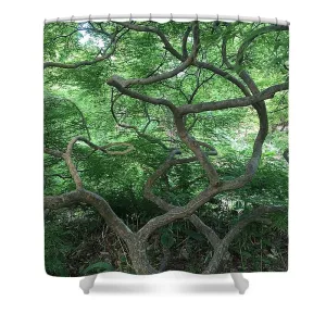 Cascading Japanese Maple - Shower Curtain