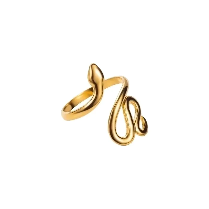 Modern Style Simple Style Snake Stainless Steel Rings