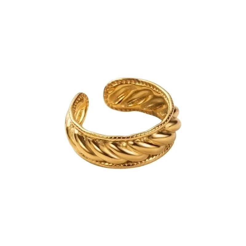 Modern Style Simple Style Snake Stainless Steel Rings