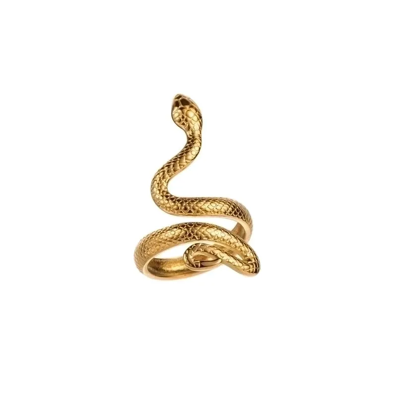 Modern Style Simple Style Snake Stainless Steel Rings