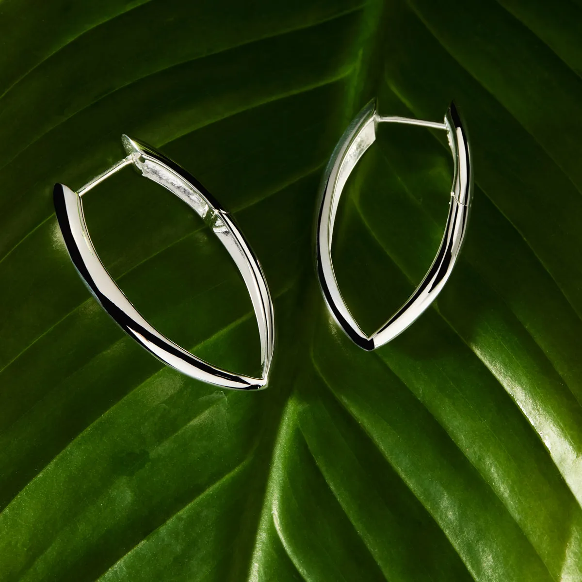 Topiary Hoop Earrings